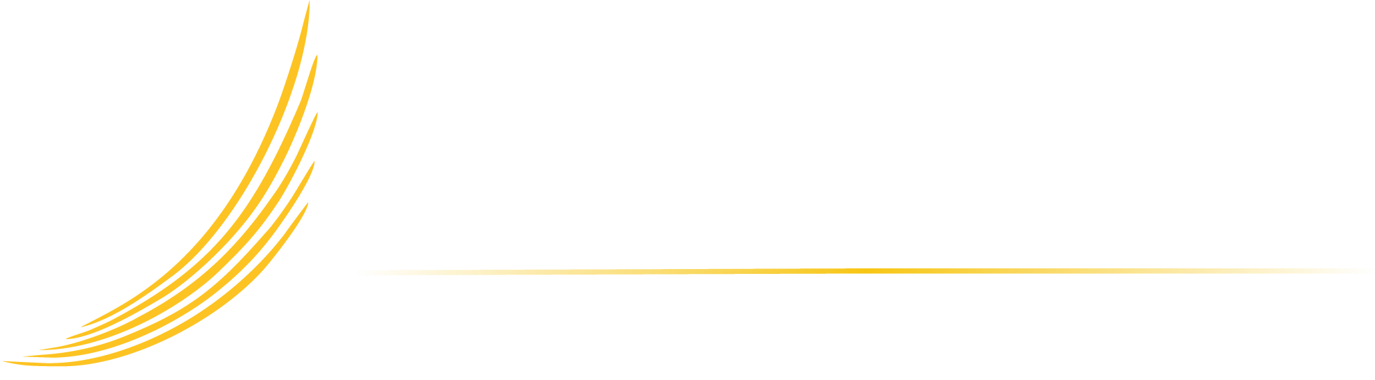Cefemex.mx - Casa de empeño